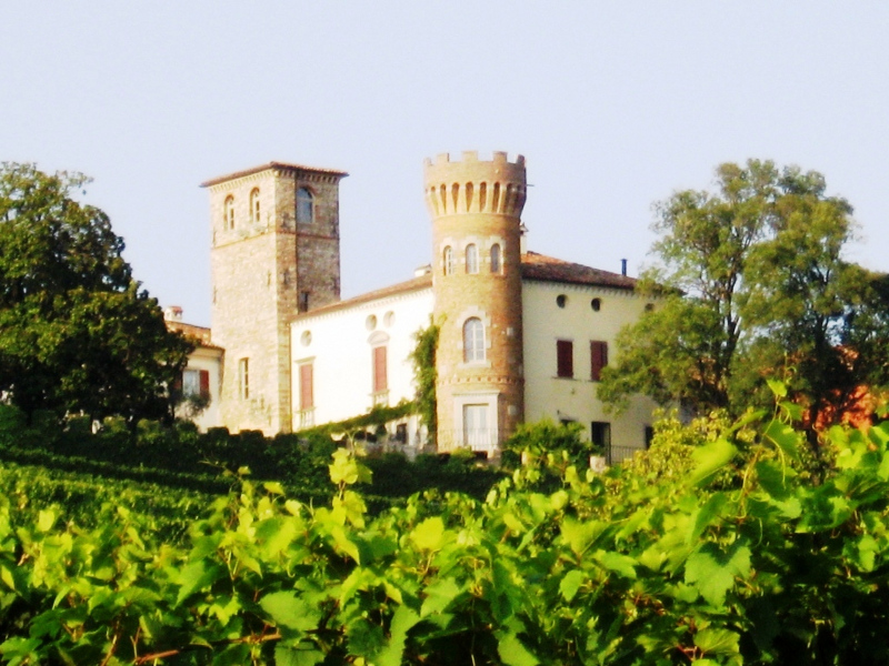 BUTTRIO Colutta
